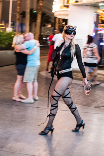 DSC_1769_web